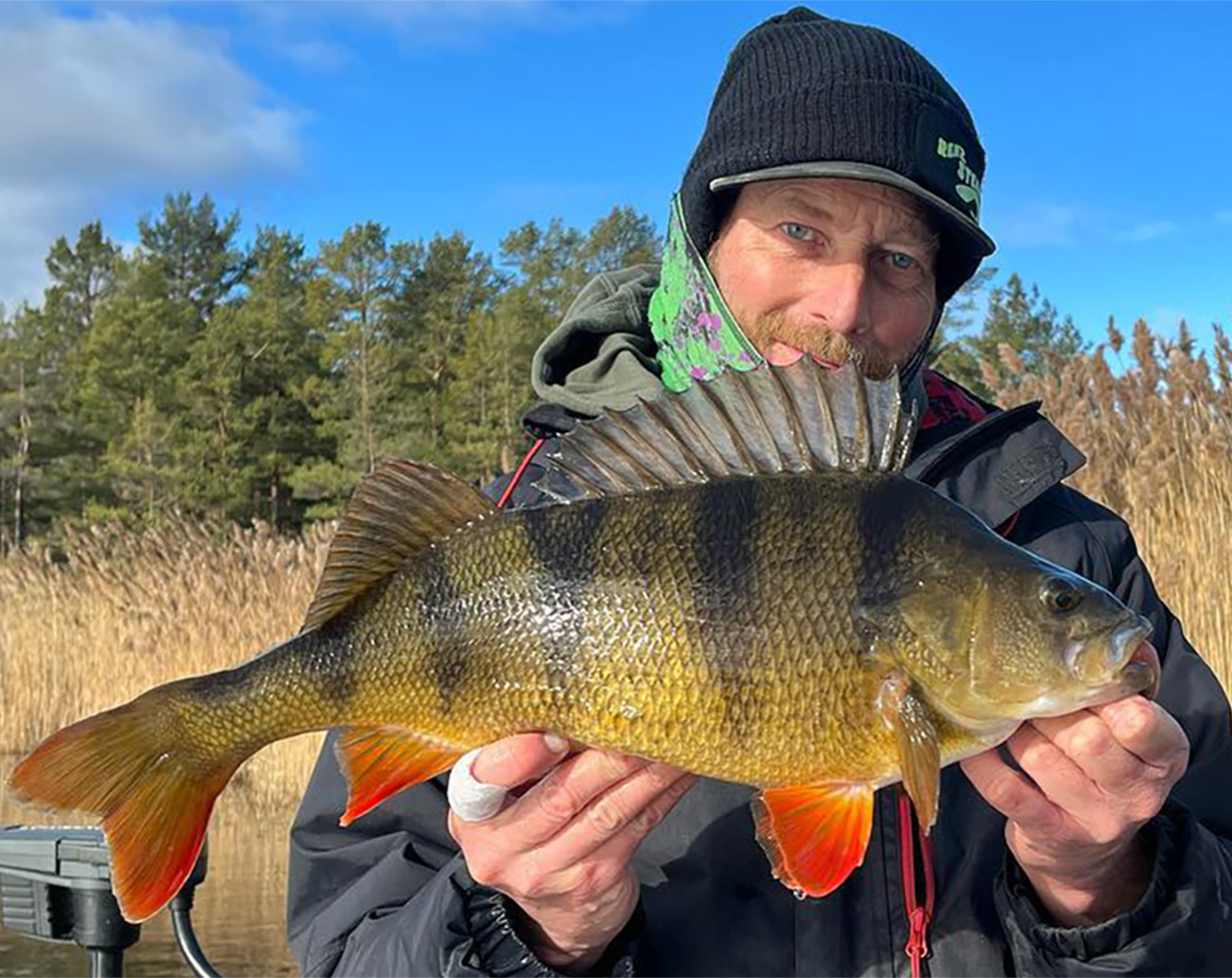 RenzStein Beastly Stripe MB 7`2 fot 4-28 g (MovingBaits)